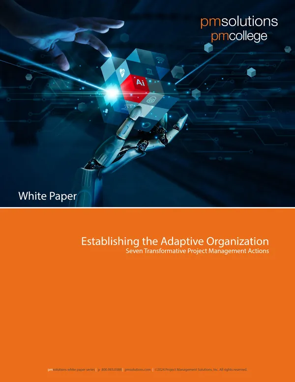The Adaptive Organization