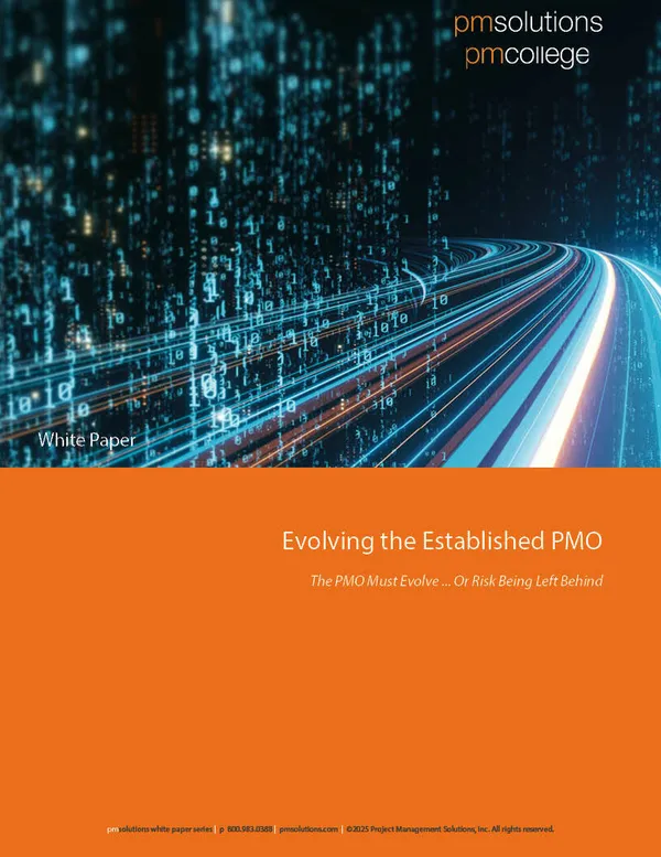 Evolving the Established PMO